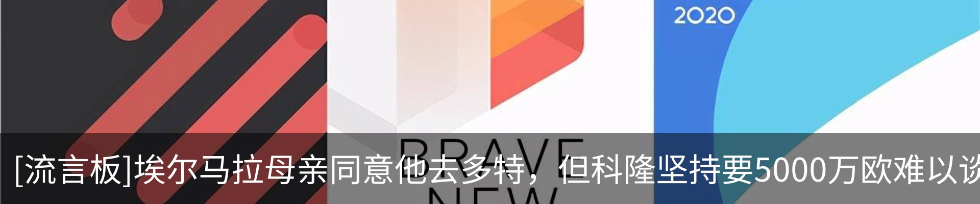 最新动态